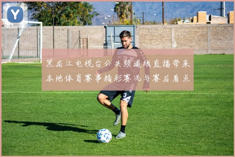 黑龙江电视台公共频道线直播带来本地体育赛事精彩赛况与赛后看点