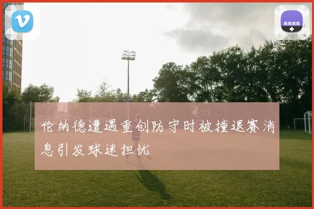 伦纳德遭遇重创防守时被撞退赛消息引发球迷担忧