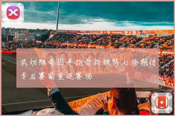 武切维奇因手指骨折缺阵七场期待季后赛前重返赛场